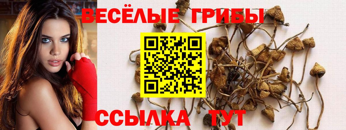 Лангепас  магазин    Вход с VPN  Галлюциногенные грибы мухоморы 